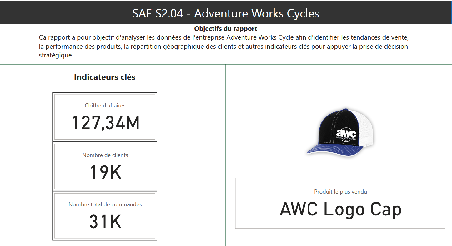 Dashboard Adventure Work Cycles